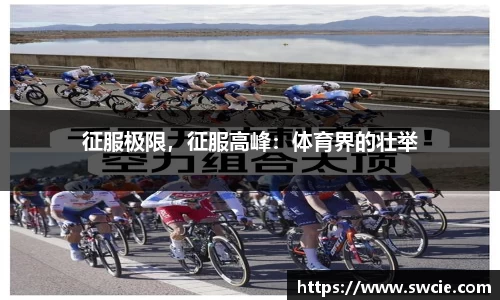 365WM SPORTS